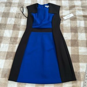 Calvin Klein / Women’s Dress / Size: 4